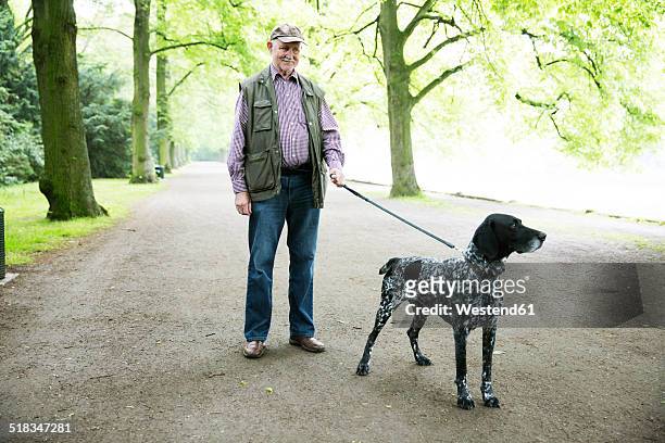 senior man walking with his german shorthaired pointer in city park - waistcoat stock-fotos und bilder