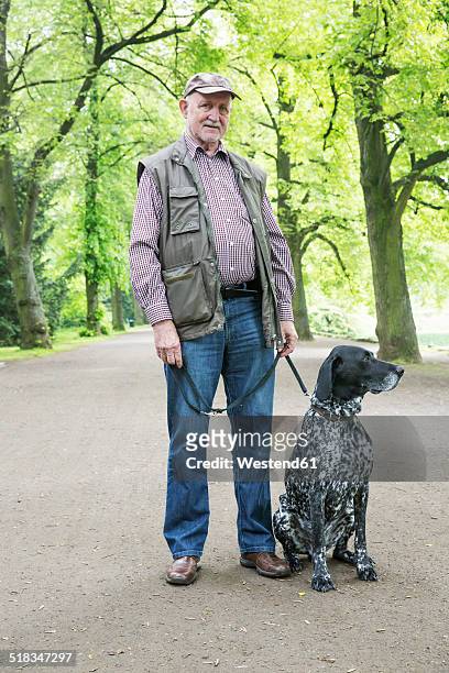 senior man with his german shorthaired pointer in city park - hound stock pictures, royalty-free photos & images