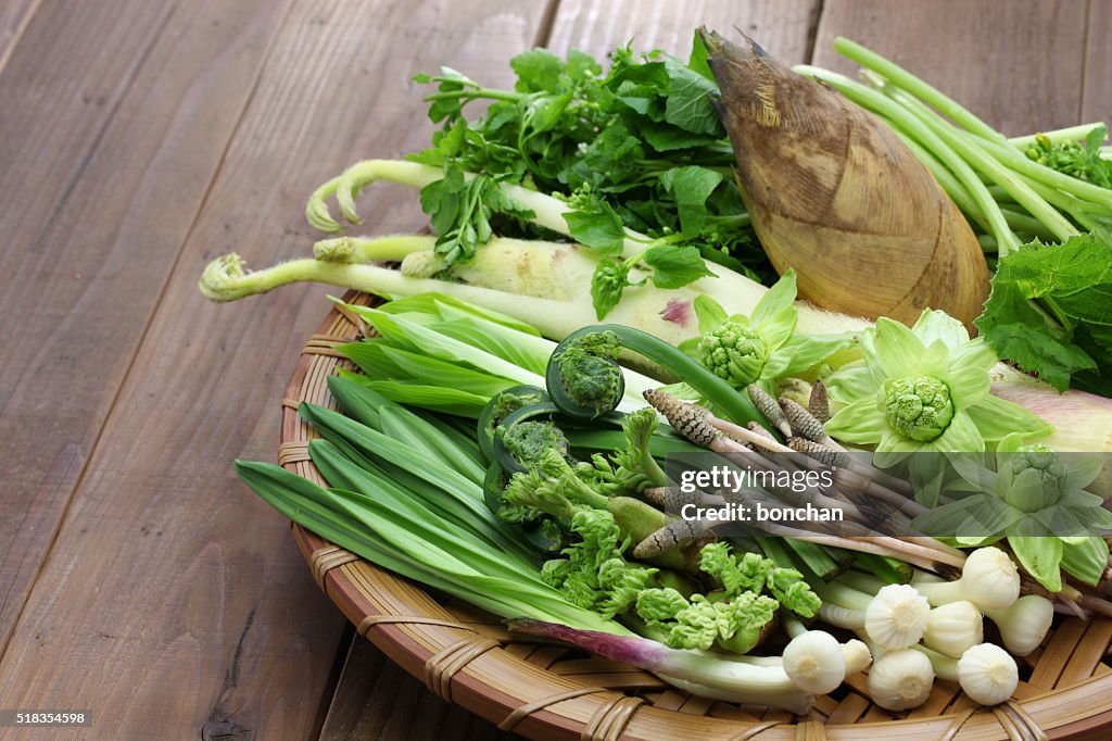 Sansai, japonés comestibles plantas silvestres verduras