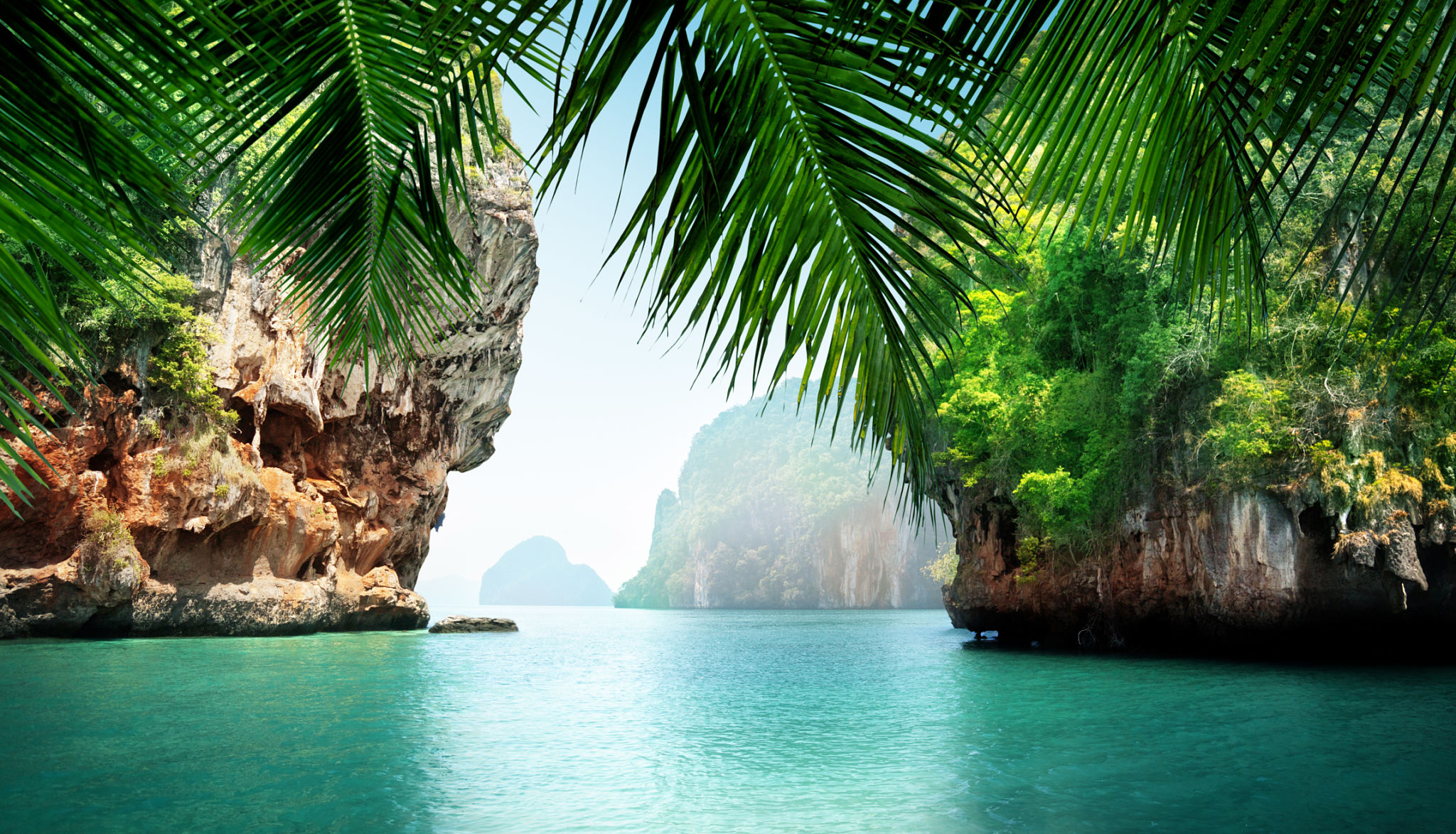 tropical paradise