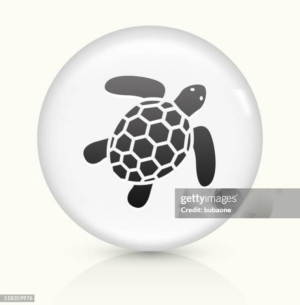 sea turtle icon on white round vector button - sea turtle white background stock illustrations