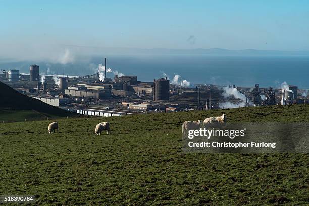 General view of the Tata Steel plant from the hills overlooking Port Talbot on March 31, 2016 in Port Talbot, Wales. Indian owners Tata Steel has put...