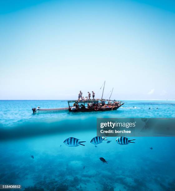 snorkling de zanzibar - ilha de zanzibar imagens e fotografias de stock