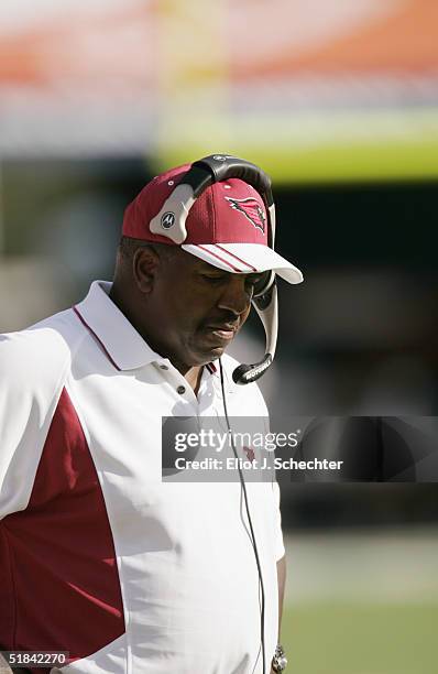 Head coach Dennis Green of the Arizona Cardinals watches from the sideline during the game against the Miami Dolphins at Pro Player Stadium on...