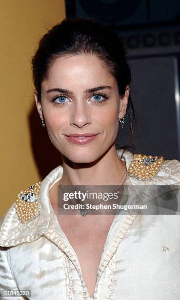 Actress Amanda Peet attends the Los Angeles premiere of Columbia Pictures "Spanglish" at the Mann Village Theater on December 9, 2004 in Westwood,...