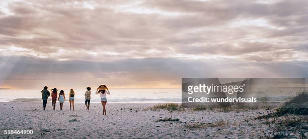 multi-ethnic hipster friends walking on sandy beach - panoramic people stock pictures, royalty-free photos & images