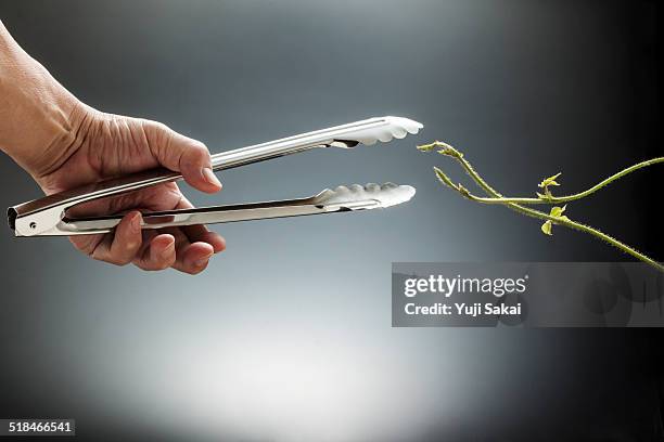 creeper face to tong - pinça utensílio de servir - fotografias e filmes do acervo