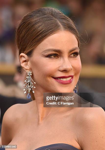 Actress Sofia Vergara attends the 88th Annual Academy Awards at Hollywood & Highland Center on February 28, 2016 in Hollywood, California.
