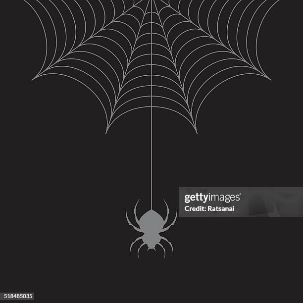 illustrations, cliparts, dessins animés et icônes de toile d'araignée illustration - toile daraignée