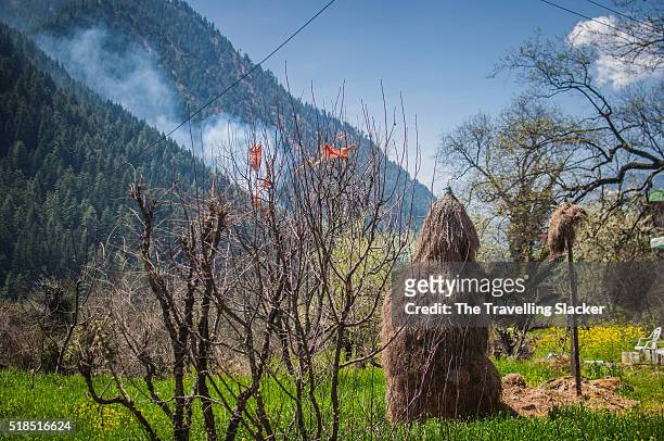 village scene - himachal pradesh stock pictures, royalty-free photos & images