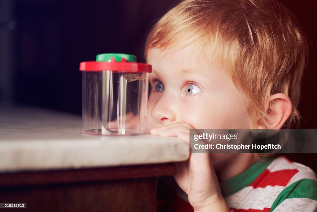 Young boy looking at a moth