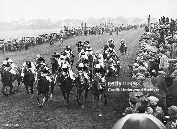 The field of horses racing together part way through the Epsom Derby, Epsom, Surrey, England, June 5, 1929. Trigo won the race with 'Water Gay'...