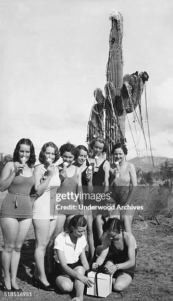 Here in Arizona the local belles use a Saguaro cactus decorated with tinsel and red ribbon for a Christmas tree, and wear bathing suits and eat ice...