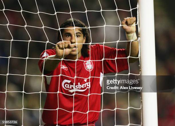 Milan Baros of Liverpool rests on the goal net during the Champions League Group A match between Liverpool and Olympiakos at Anfield on December 8,...