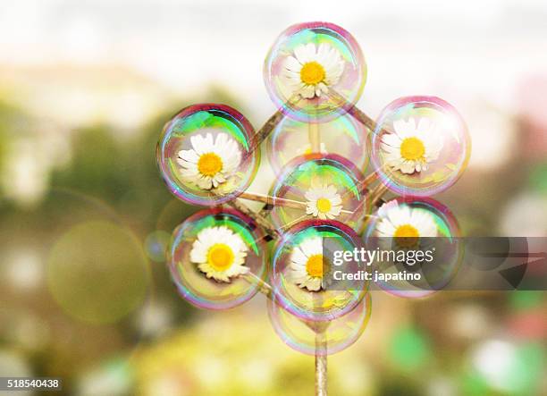the brussels atomium structure made with flowers and soap bubbles. - atomium monument stock pictures, royalty-free photos & images