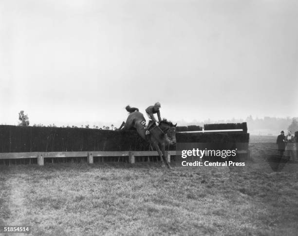 Seven-year-old Man of the West takes the final fence before his victory in the Hennessey Gold Cup at Newbury, 30th November 1968. G. W. Robinson is...