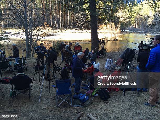 photographers shooting horsetail firefall in yosemite  national park - firefall stockfoto's en -beelden