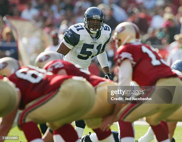 198 Jed Simmons Photos & High Res Pictures Getty Images