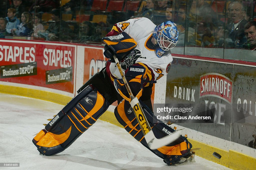 Chicago Wolves v Hamilton Bulldogs