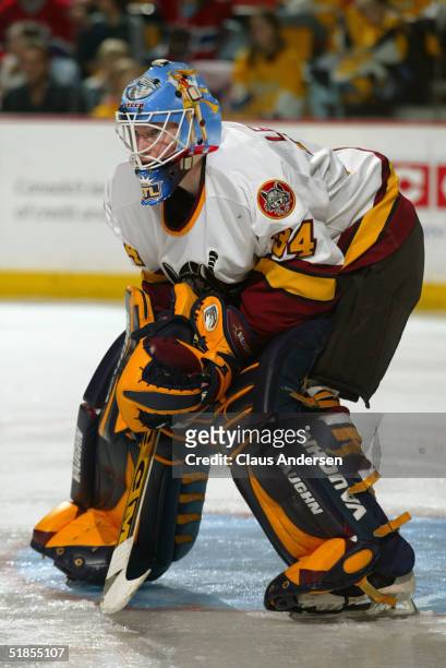 Kari Lehtonen of the Chicago Wolves readies for the play against the Hamilton Bulldogs during the American Hockey League game at Copps Coliseum on...