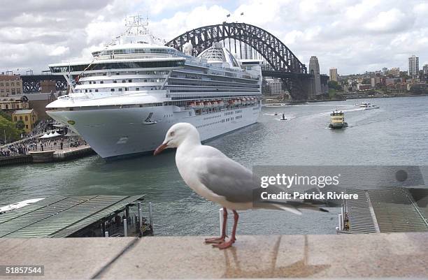 November 2003 - The 109,000-ton Star Princess is the second biggest vessel of any type ever to sail into Sydney Harbour, Australia.