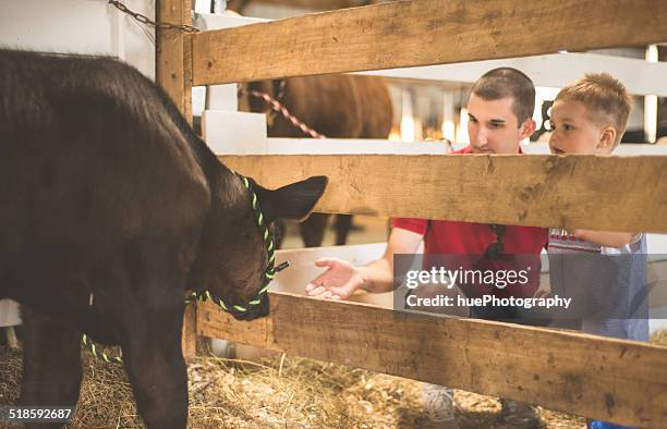 family at fair - agricultural fair stock pictures, royalty-free photos & images