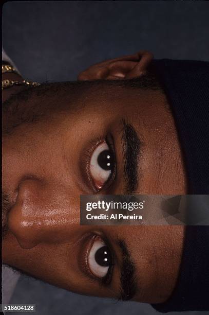 528 Ali Shaheed Muhammad Photos & High Res Pictures - Getty Images