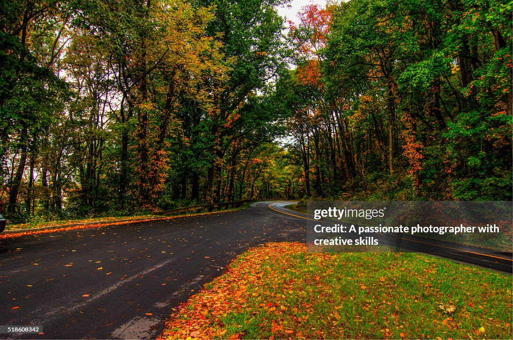 Autumn In Asheville North Carolina