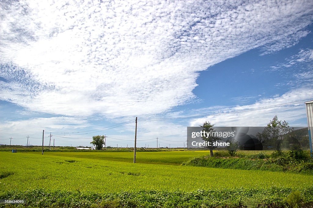 Rural scenics at GangHwa Island