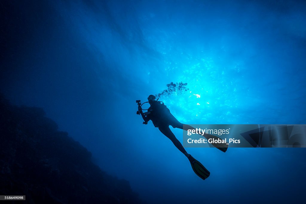 Female Diver - Palau, Micronesia