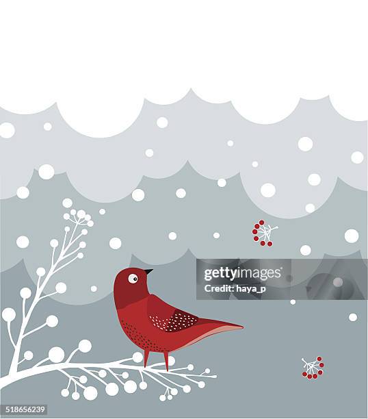 red bird on branch - blue cardinal bird stock illustrations