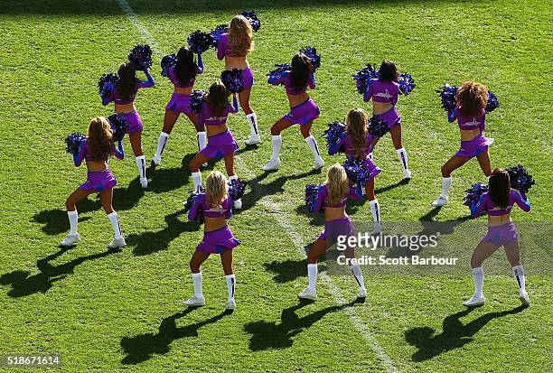 Melbourne storm cheerleaders perform during the round five NRL match between the Melbourne Storm and the Newcastle Knights at AAMI Park on April 2,...