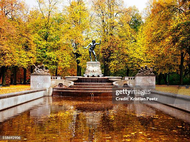 vater-rhein-fountain in munich - munich autumn stock pictures, royalty-free photos & images