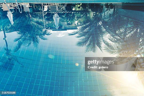 reflexo do sol e palma árvores na piscina azul - reflection pool imagens e fotografias de stock