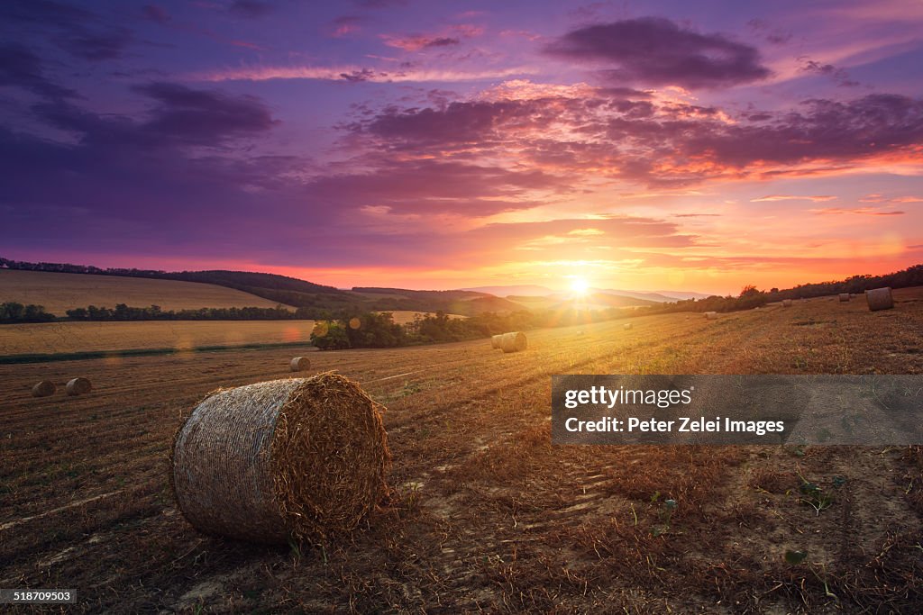 Bales at the fields