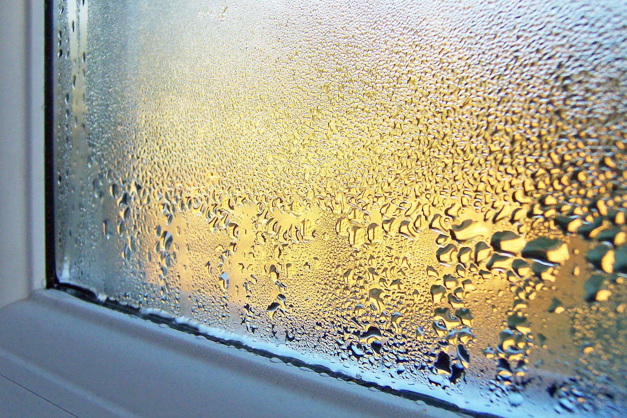 Condensation on Window Glass and Frame Condensation on Window Glass and Frame