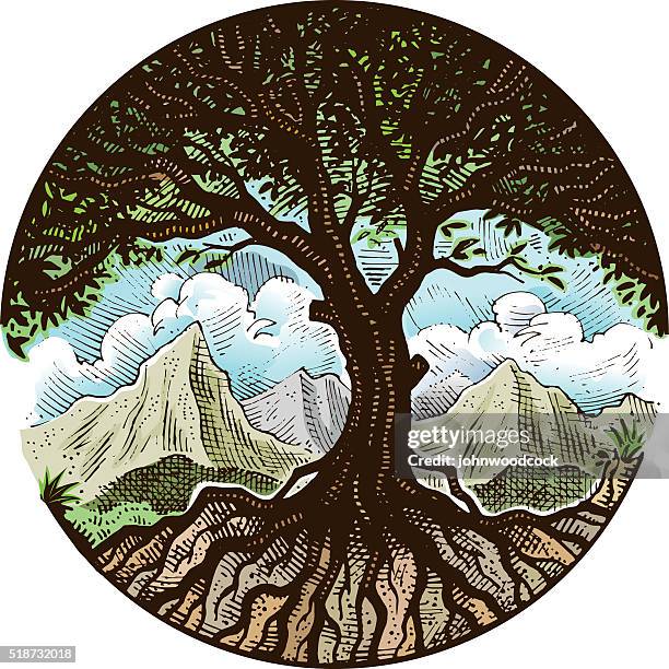 Tree Roots Circle Photos and Premium High Res Pictures - Getty Images