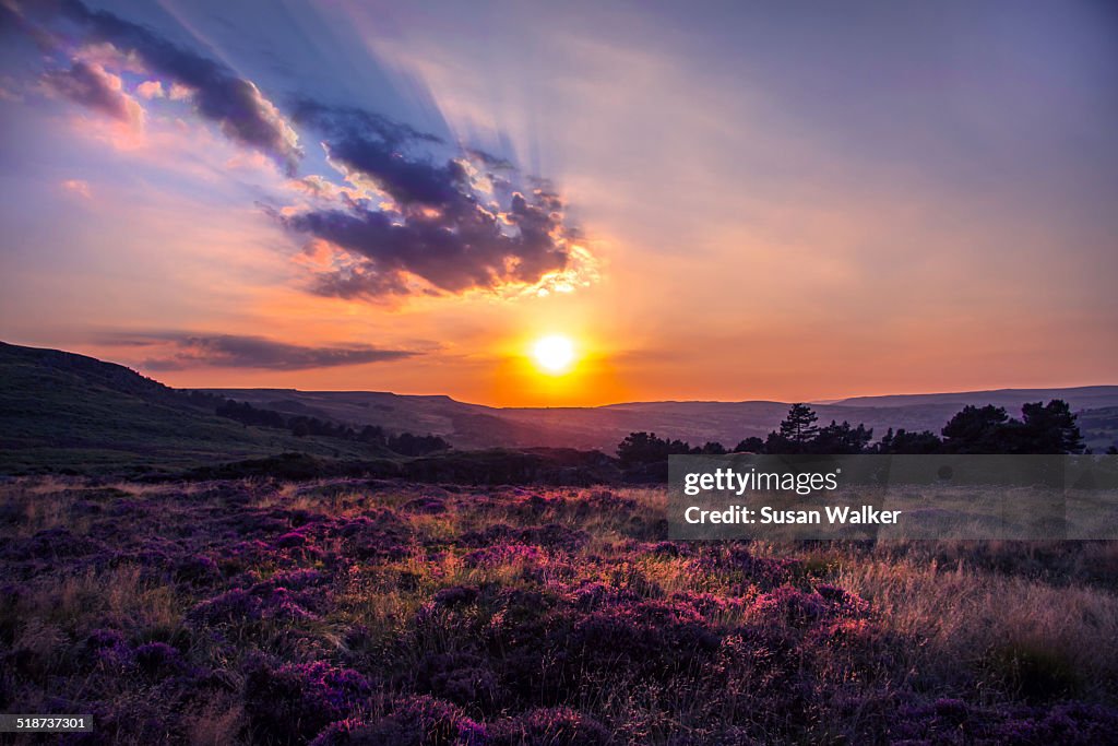 Sunset Ilkley Moor