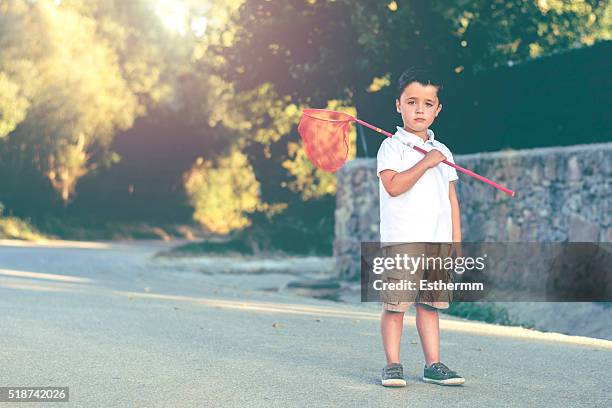 child in summer - catching butterflies stock pictures, royalty-free photos & images