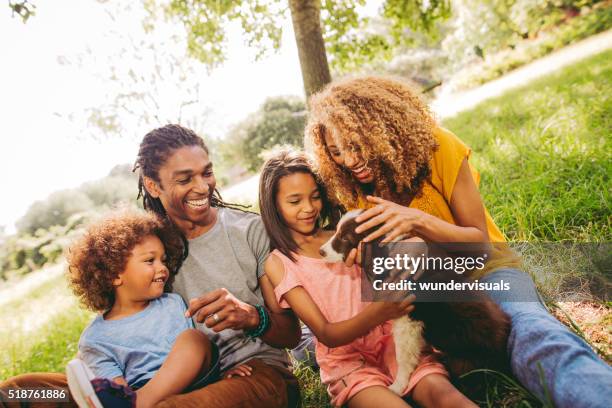 multi-ethnic family spending time at park with new adorable pet - family dogs stock pictures, royalty-free photos & images