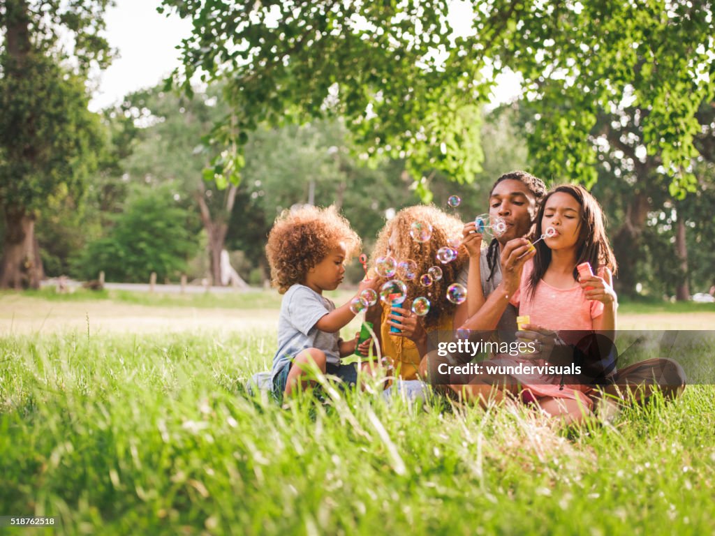 Attractive African-american family spending family time in a bea