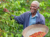 Kenyan Fair Trade Coffee Farmer