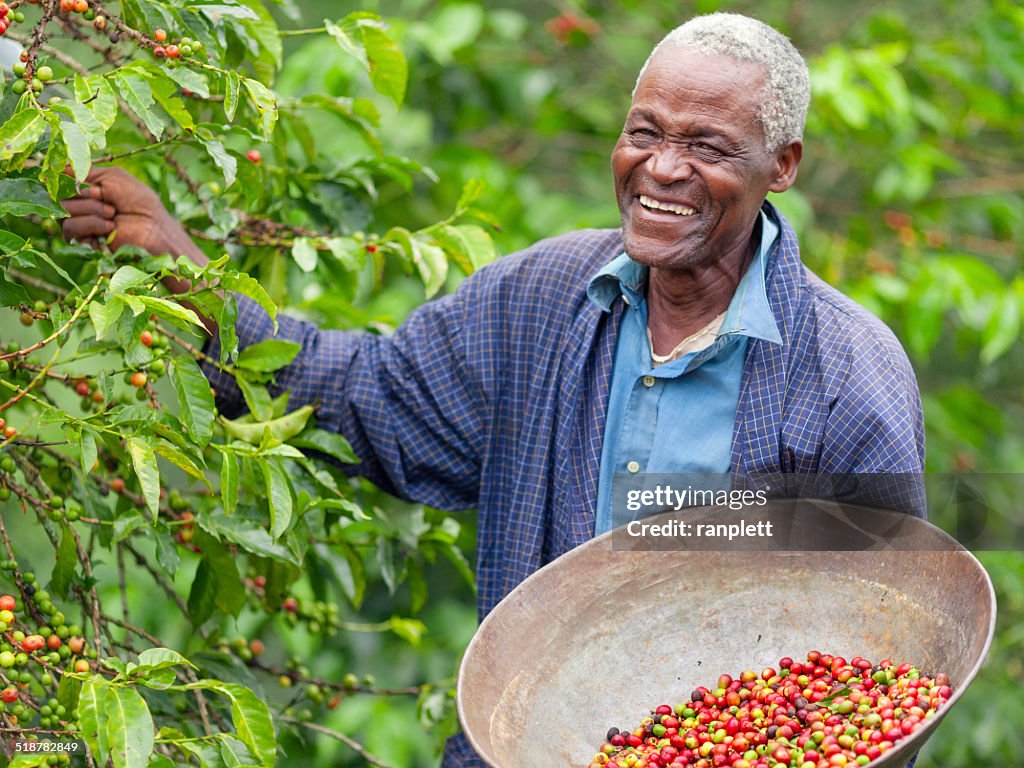 Kenyan Fair Trade Coffee Farmer