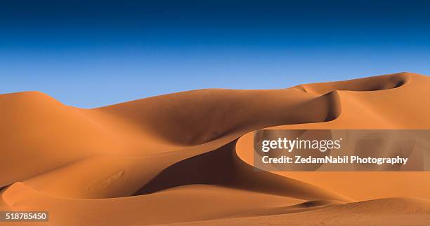 silky golden dunes (algerian sahara) - desert stock-fotos und bilder