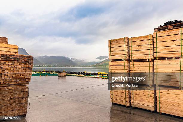 stacked wooden planks at fishing industry - lumber-pile stock pictures, royalty-free photos & images