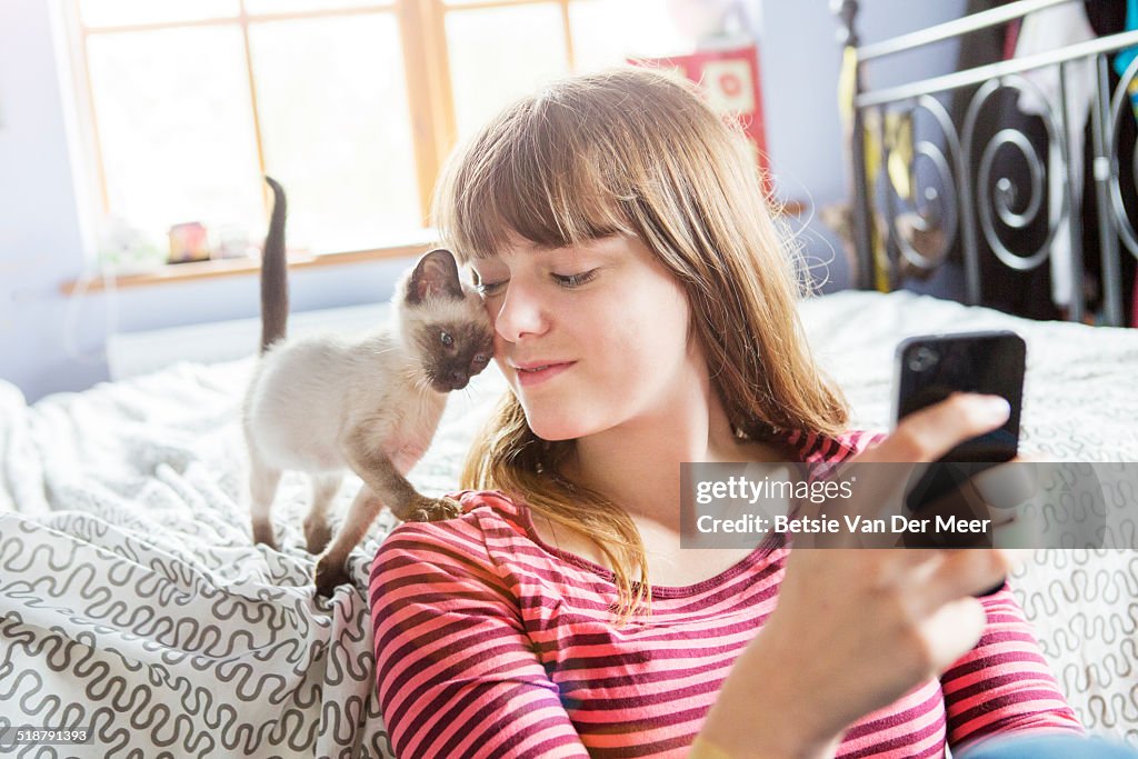 Kitten gives cuddles to teenager with phone.