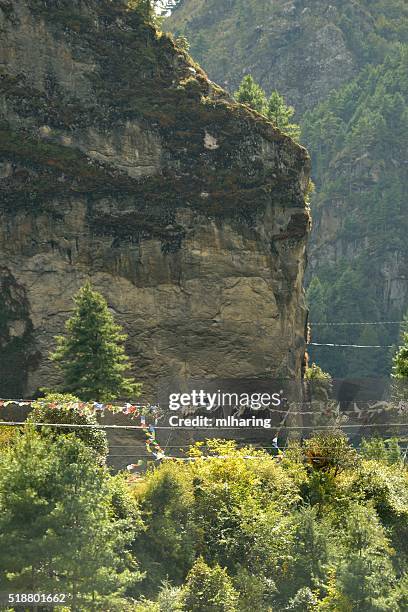 yak crossing - namche bazaar stock pictures, royalty-free photos & images