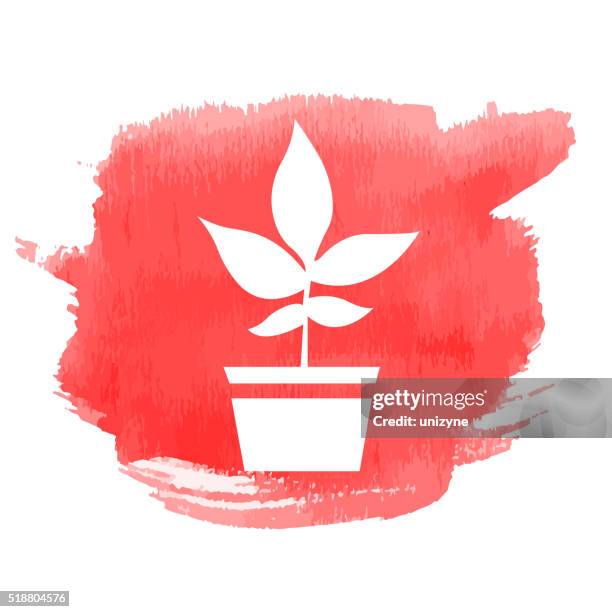 plant with pot icon on watercolor background - small plant pot stock illustrations