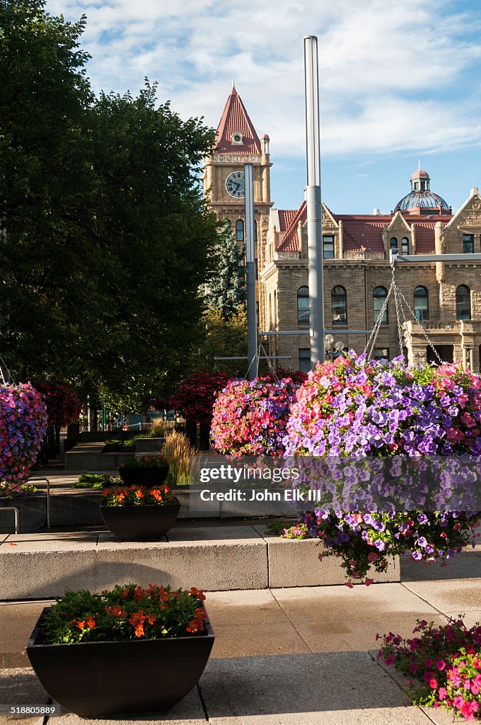 Calgary City Hall