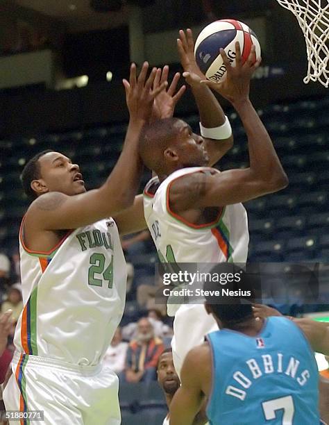 Darius Rice Nba 96 Tony Dobbins Stock Photos, High-Res Pictures, and Images - Getty Images